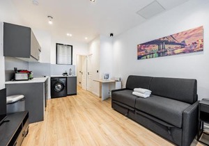 Apart 1 Bedroom # Buttes Chaumont # Paris 19