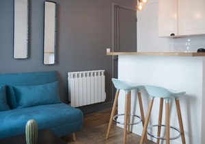 NICE and BRIGHT apartment in PARIS (11)