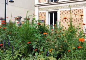 Renovated, clean, old-world charm on Paris border; can sleep 5