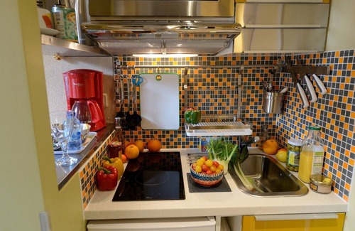 Arts-et-Metiers Apartment | D3GD Green Shot