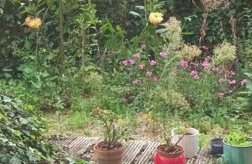 Bois-Colombes Apartment | Artist's Owned Appartement With Garden and Solar Room Near Paris