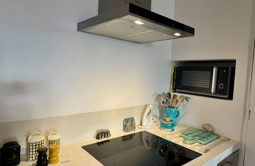 Archives Apartment | CENTRE MARAIS (picasso place des vosges) .A/C, WIFI, ELEVATOR, VUE, BALCONY !