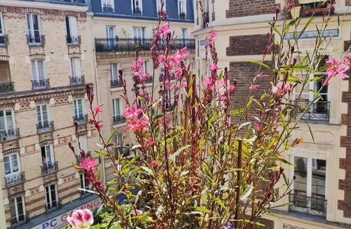 Bercy Apartment | Cosy Parisian charm Paris 12e Montgallet