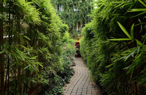 Arts-et-Metiers Apartment | D3DG Summer Sweetness
