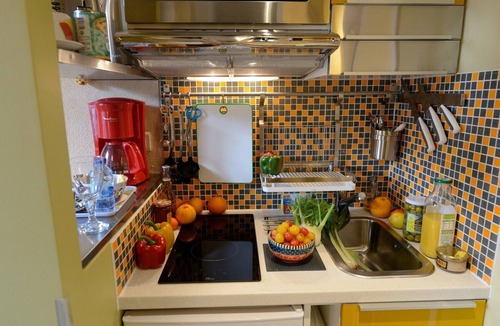 Arts-et-Metiers Apartment | D3GD Green Shot
