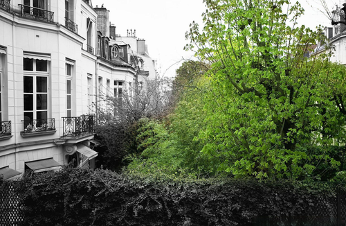 Quartier des Invalides Hotel | Hotel le Bellechasse Saint-Germain Paris