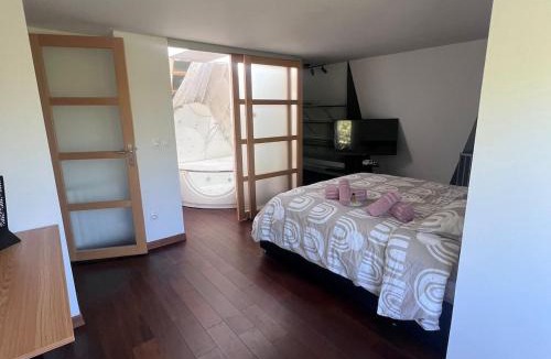 Aulnay-sous-Bois Villa | House,Parc expo villepinte,CDG,Disney