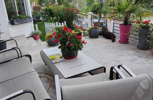 Le Perreux-sur-Marne Bed & Breakfast | Les Pingouins de la Marne 2