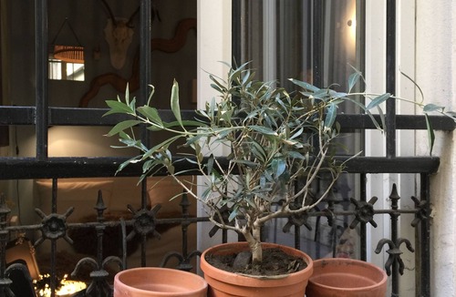 Montparnasse Apartment | PROMO/Cozy, central studio in a lively neighborhood.
