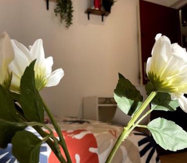 Le Perreux-sur-Marne Apartment | Studio Jacuzzi & Private Cinema - Paris south