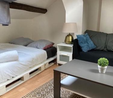 Parc-de-Montsouris Apartment | Studio Place d’Italie/Denfert-Rochereau