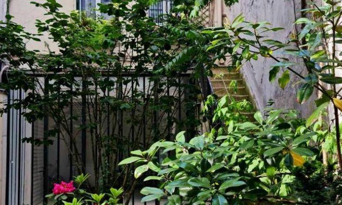 Quartier de la Goutte-d'Or Apartment | 50 m² Apartment ∙ 2 bedrooms ∙ 5 guests
