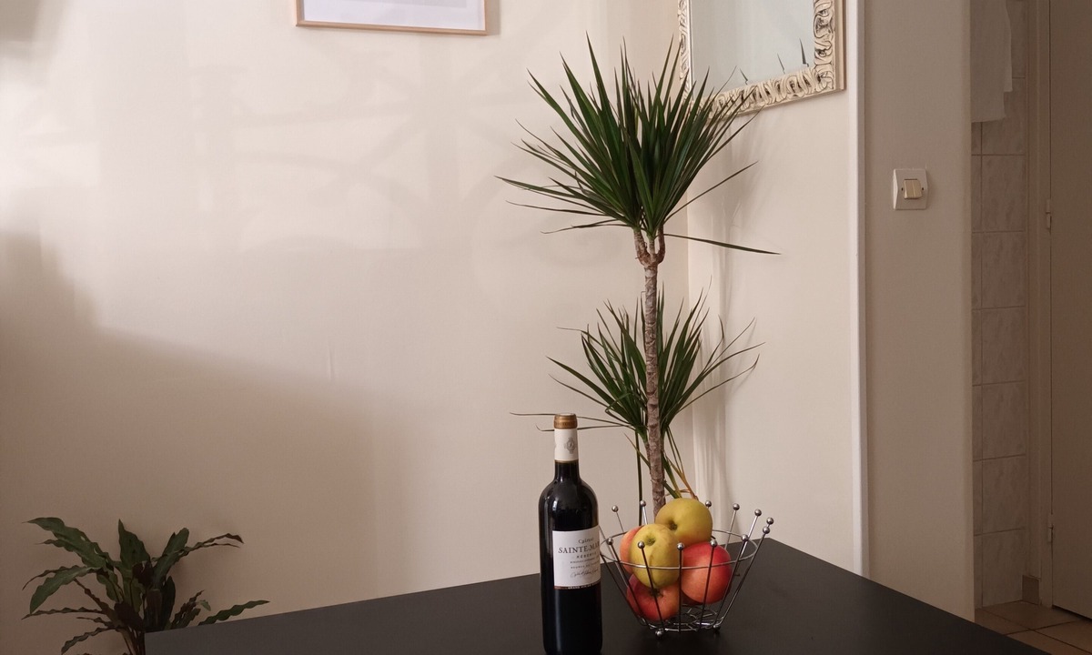 Quartier de la Folie-Mericourt Apartment | Apartment in central Paris