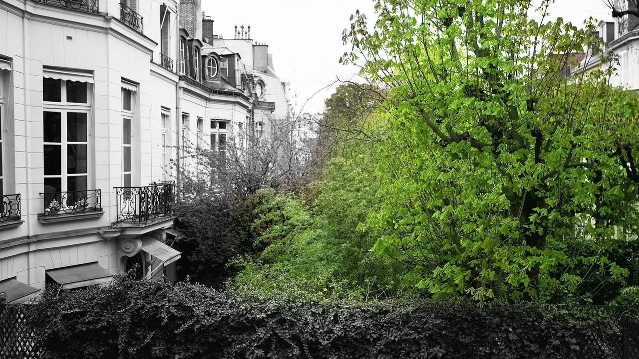 Photo of Buildings in Quartier des Invalides