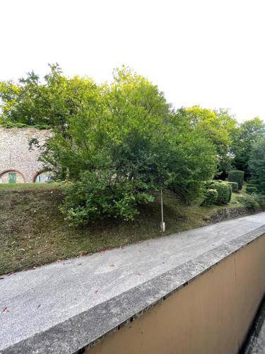 Photo of Others in Champigny-sur-Marne