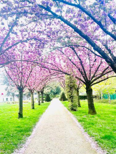 Photo of Others in Roissy-en-France