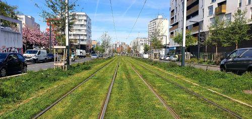 Photo of Others in Vitry-sur-Seine