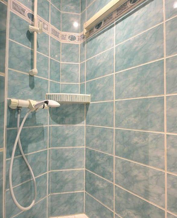 Photo of Bathroom in Grenelle