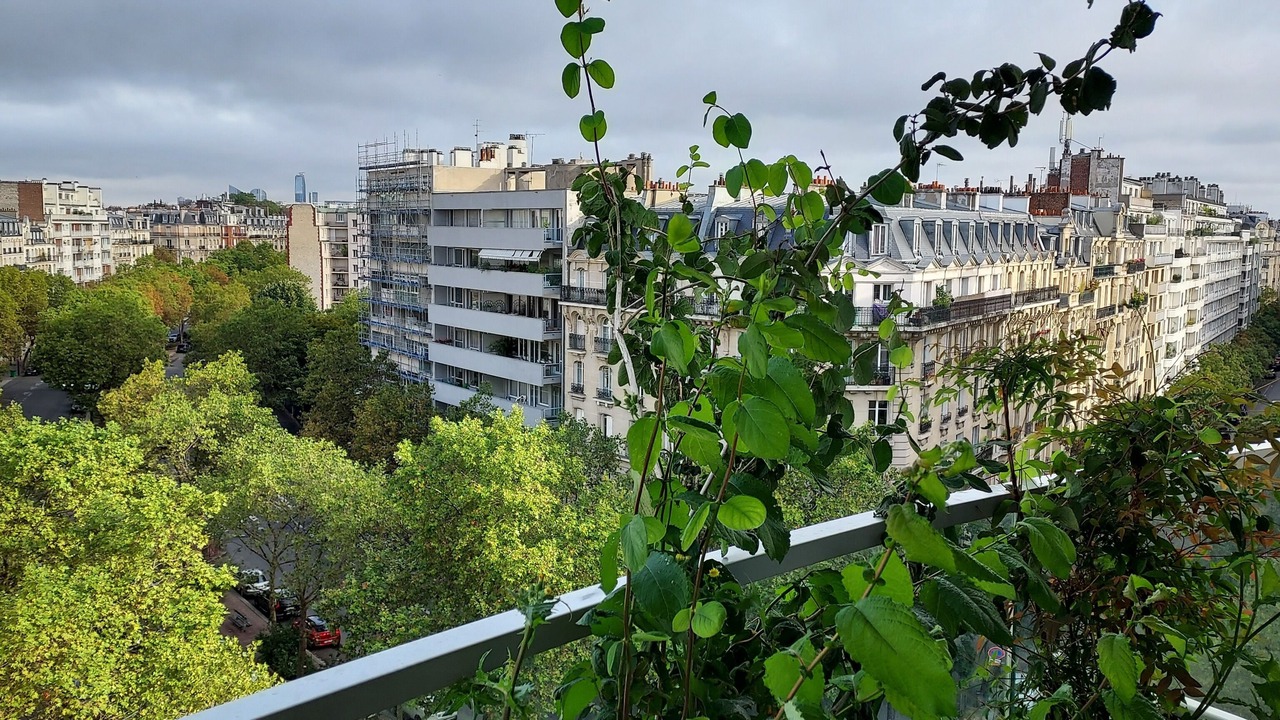 Photo of Outdoor in Auteuil