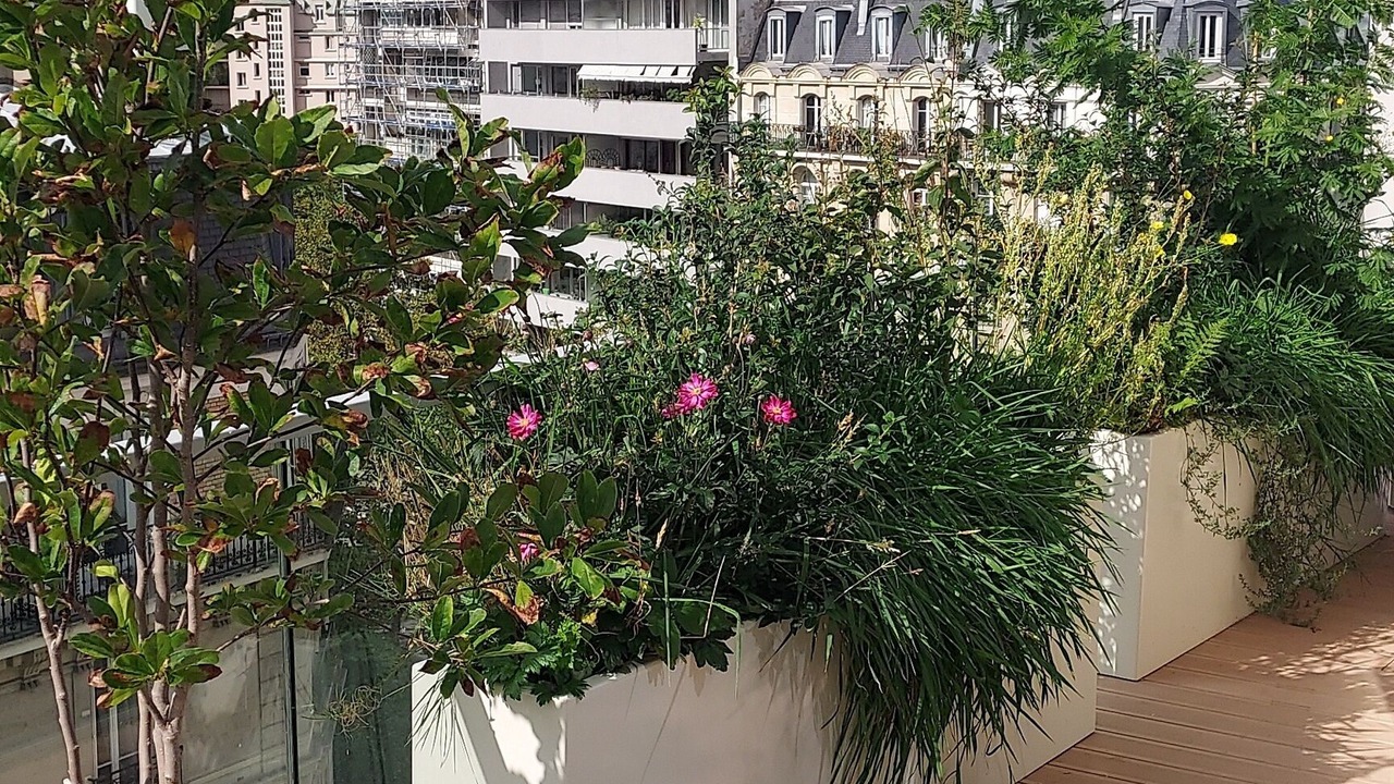Photo of Outdoor in Auteuil