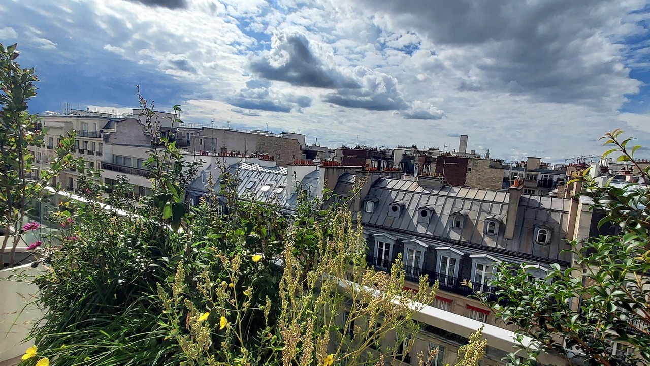 Photo of Outdoor in Auteuil