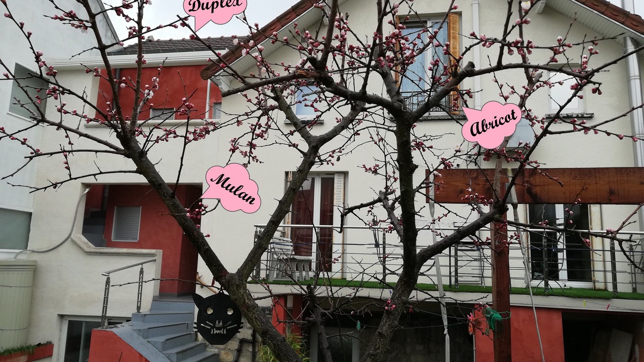Photo of Outdoor in Parapluies