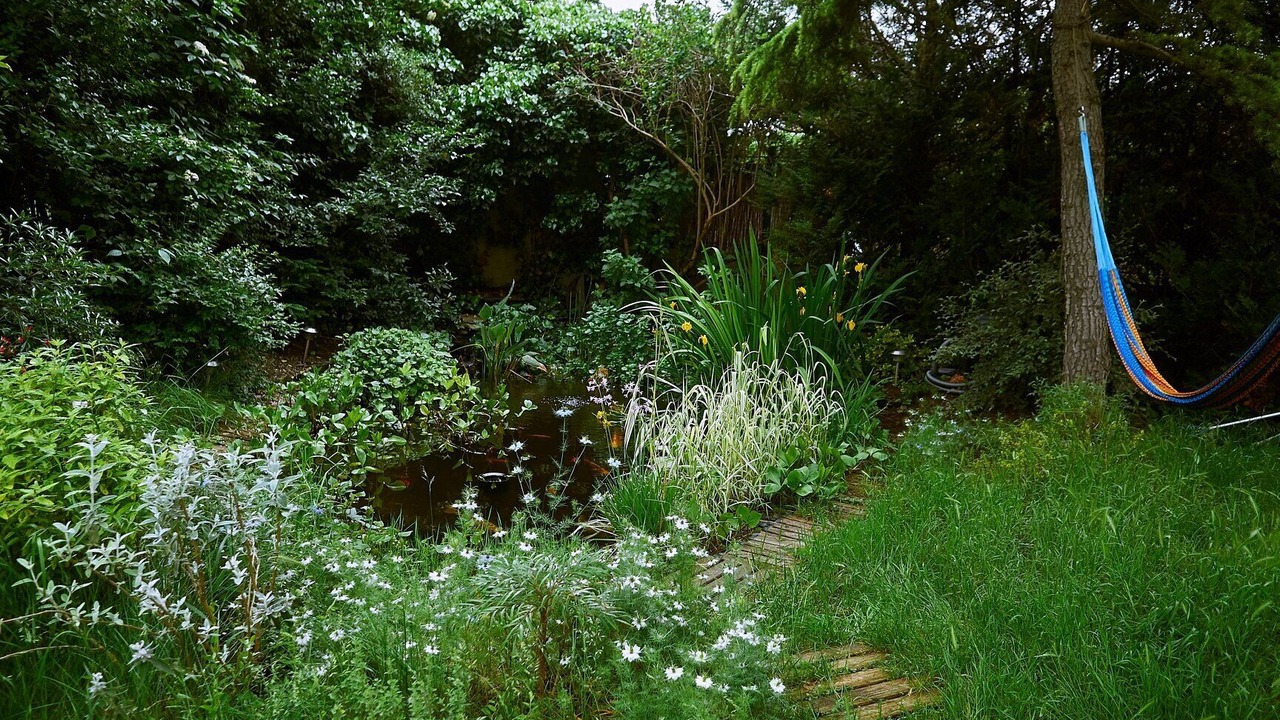 Photo of Outdoor in Bry-sur-Marne