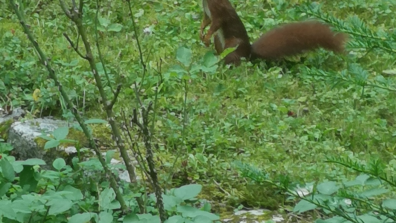 Photo of Outdoor in Noisy-le-Grand