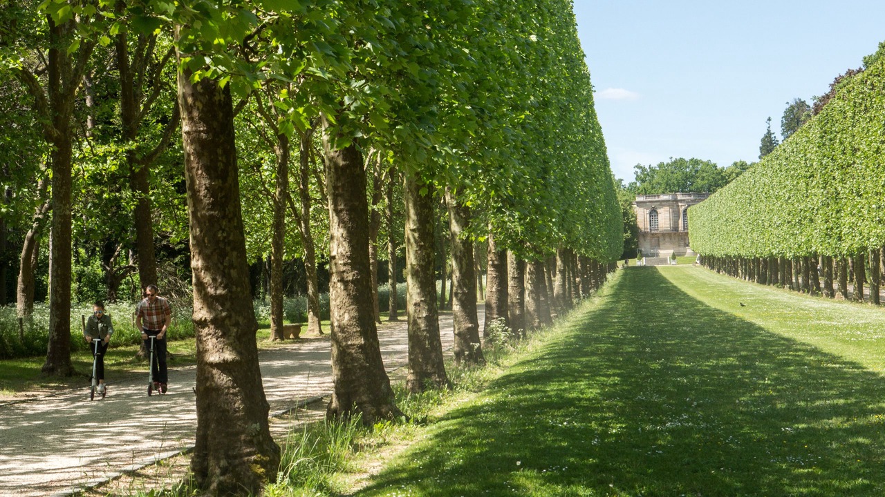 Photo of Outdoor in Sceaux