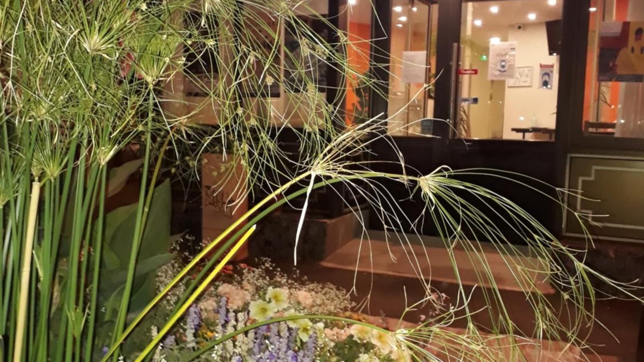 Photo of Outdoor in Livry-Gargan