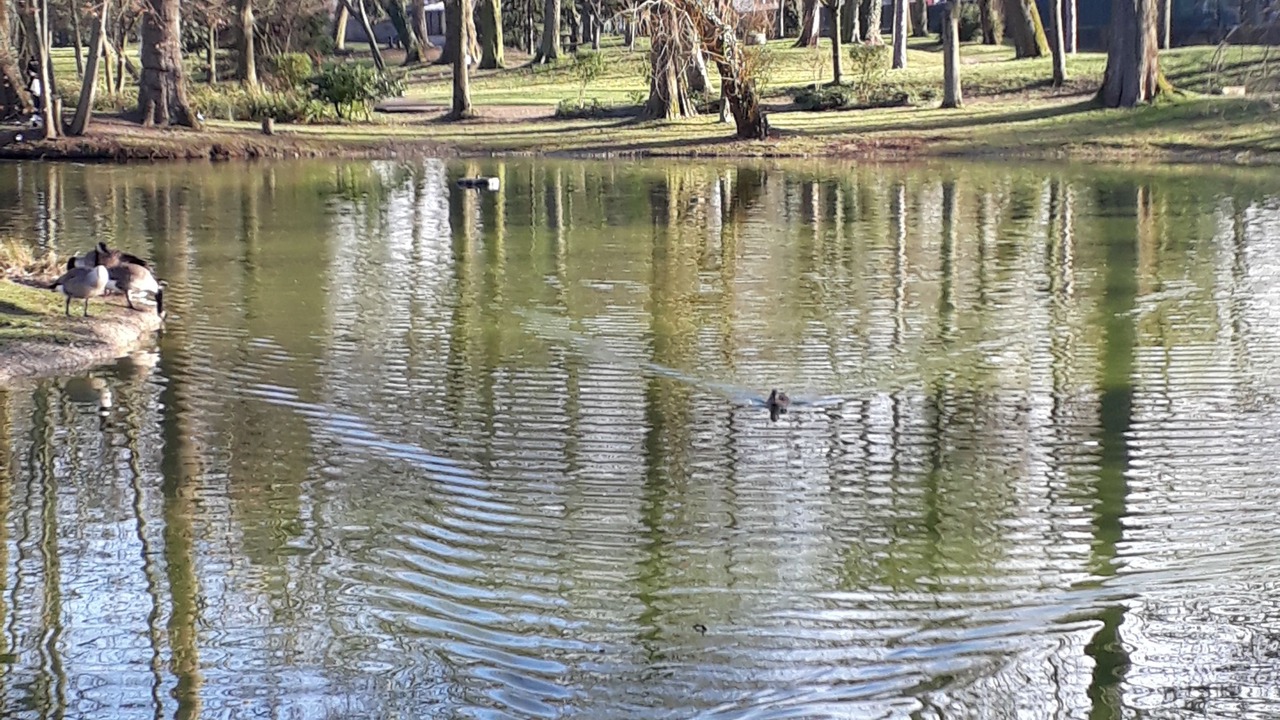 Photo of Outdoor in Livry-Gargan