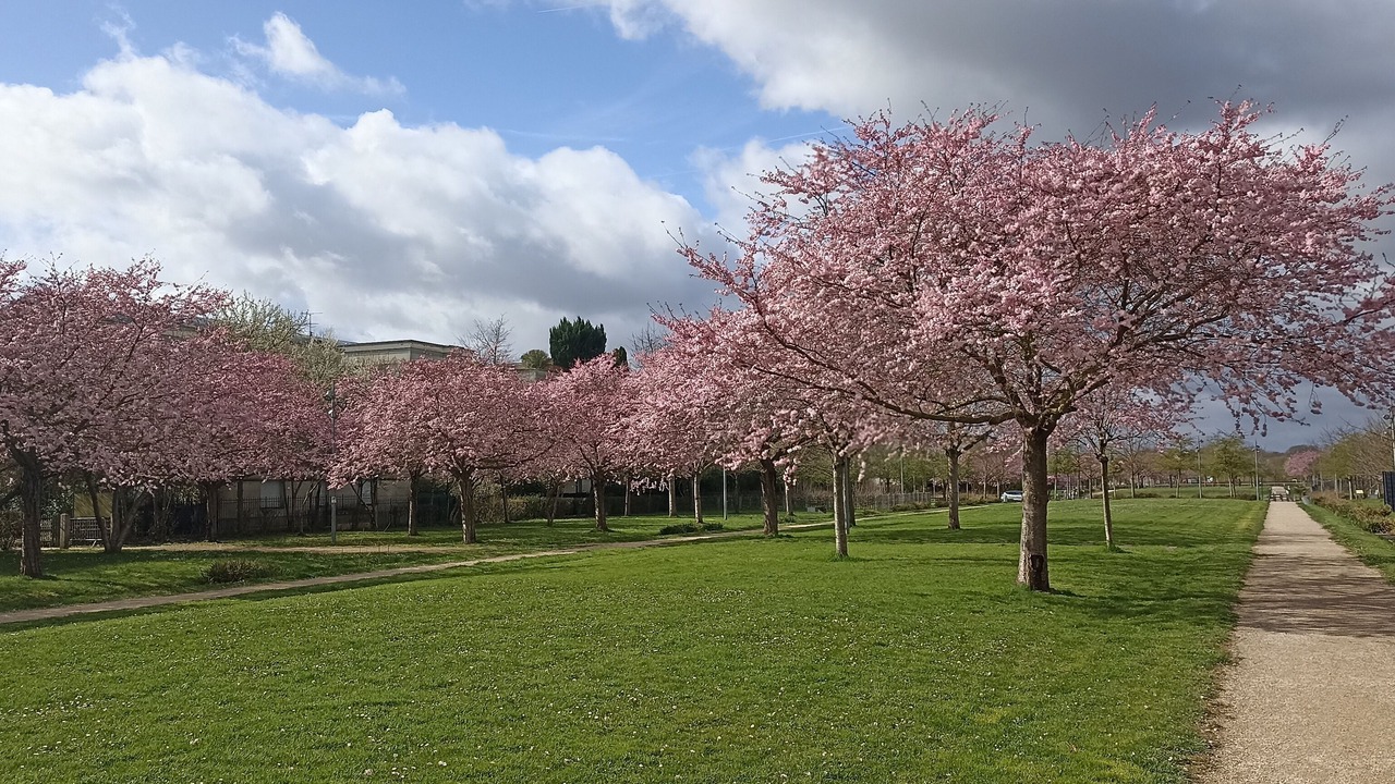 Photo of Outdoor in Quincy-Voisins