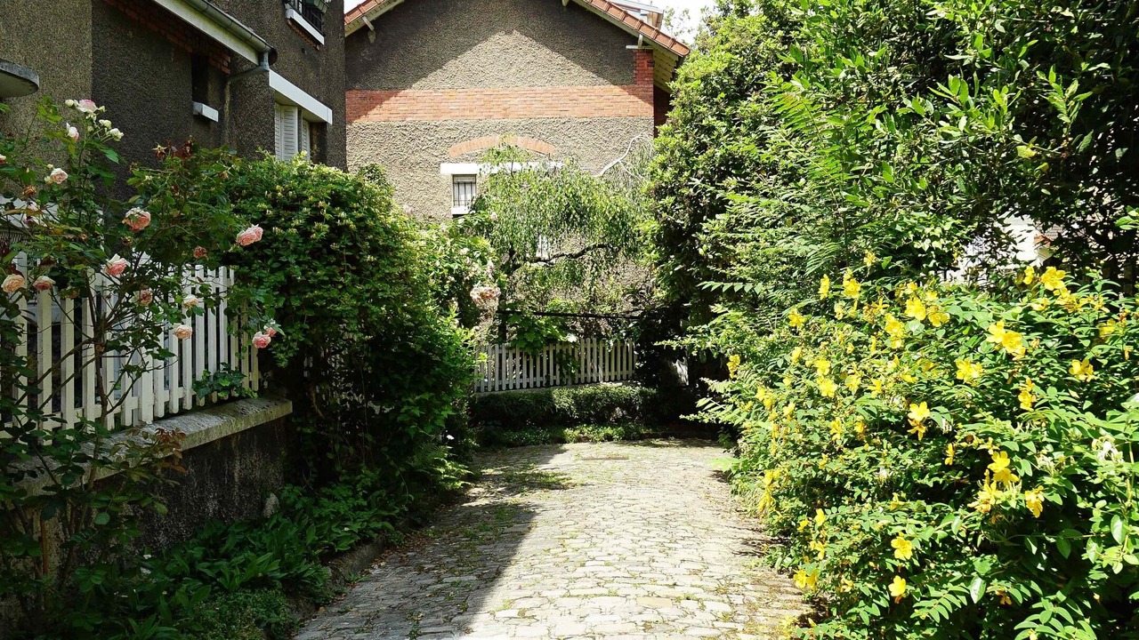 Photo of Outdoor in Amerique