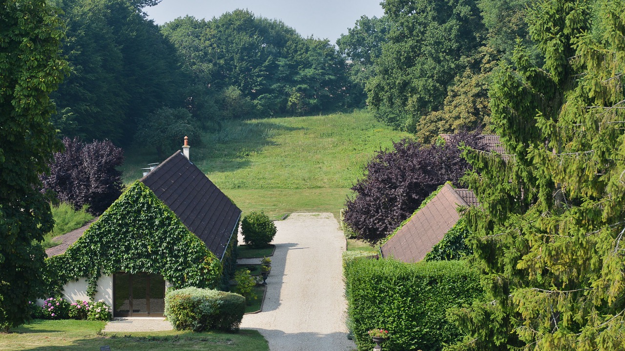 Photo of Outdoor in Sancy