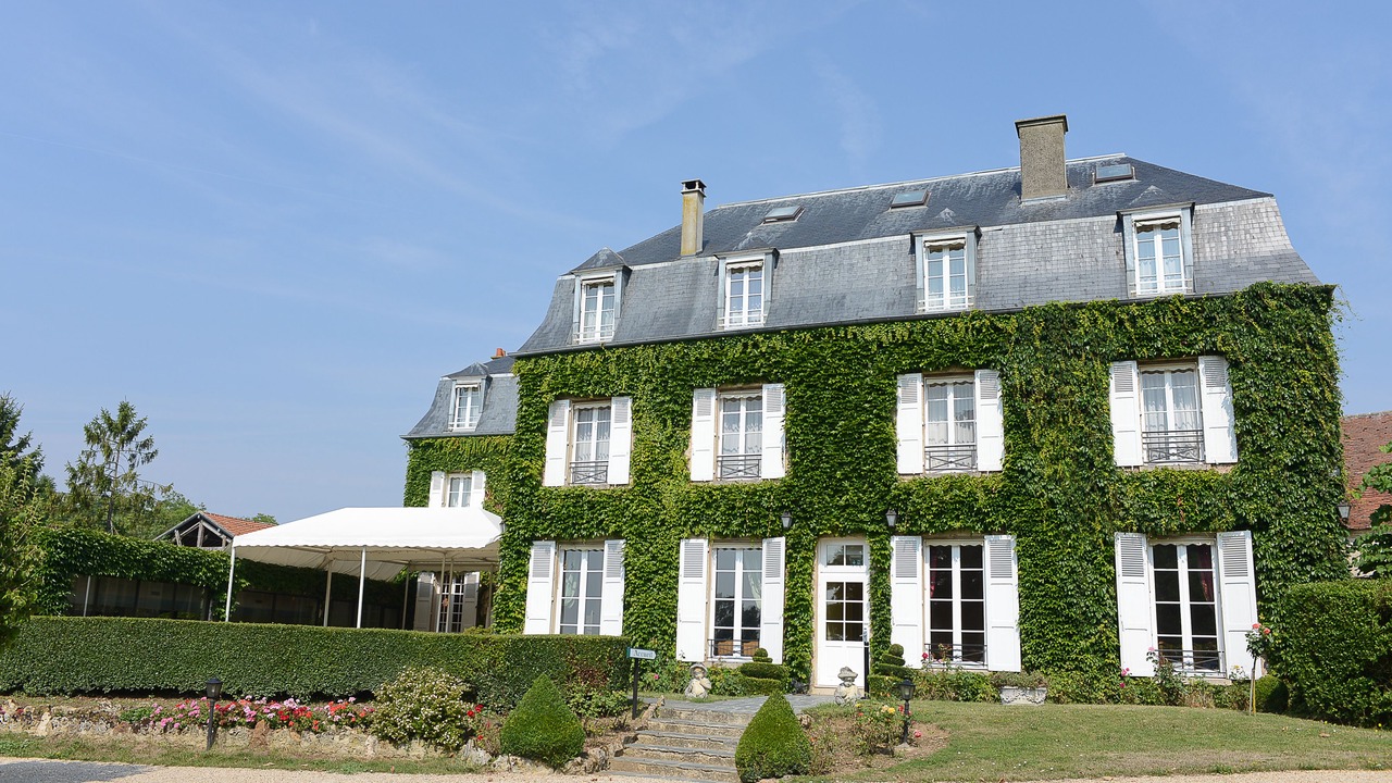 Photo of Outdoor in Sancy