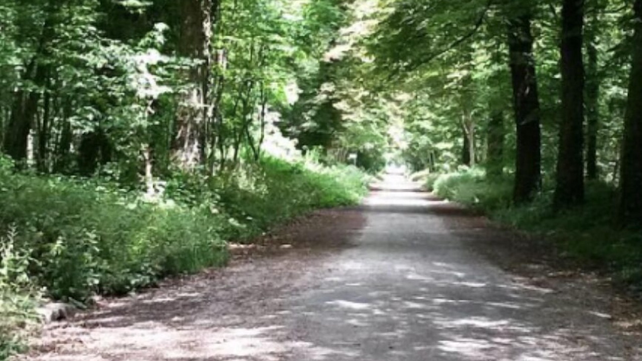 Photo of Outdoor in Sorano