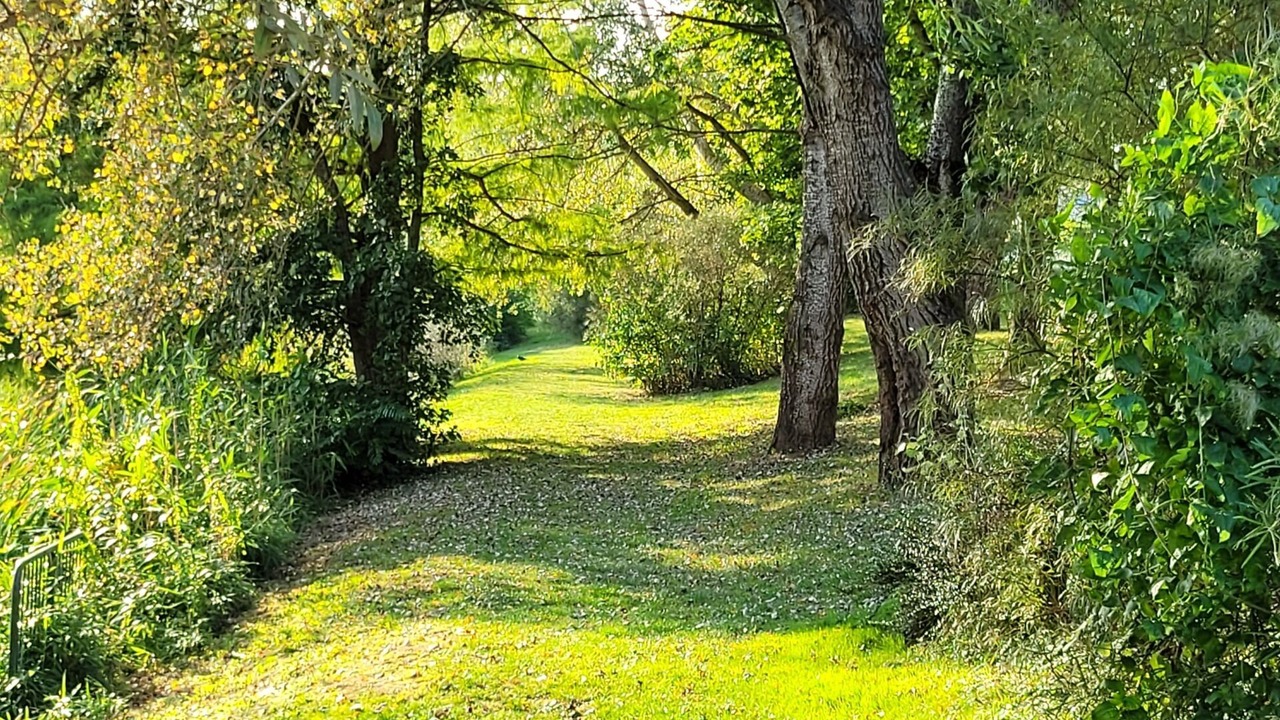 Photo of Outdoor in Emerainville