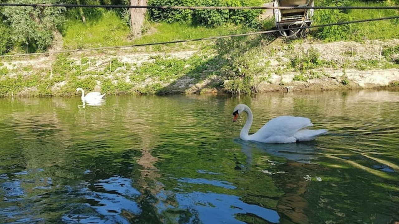 Photo of Others in Puteaux