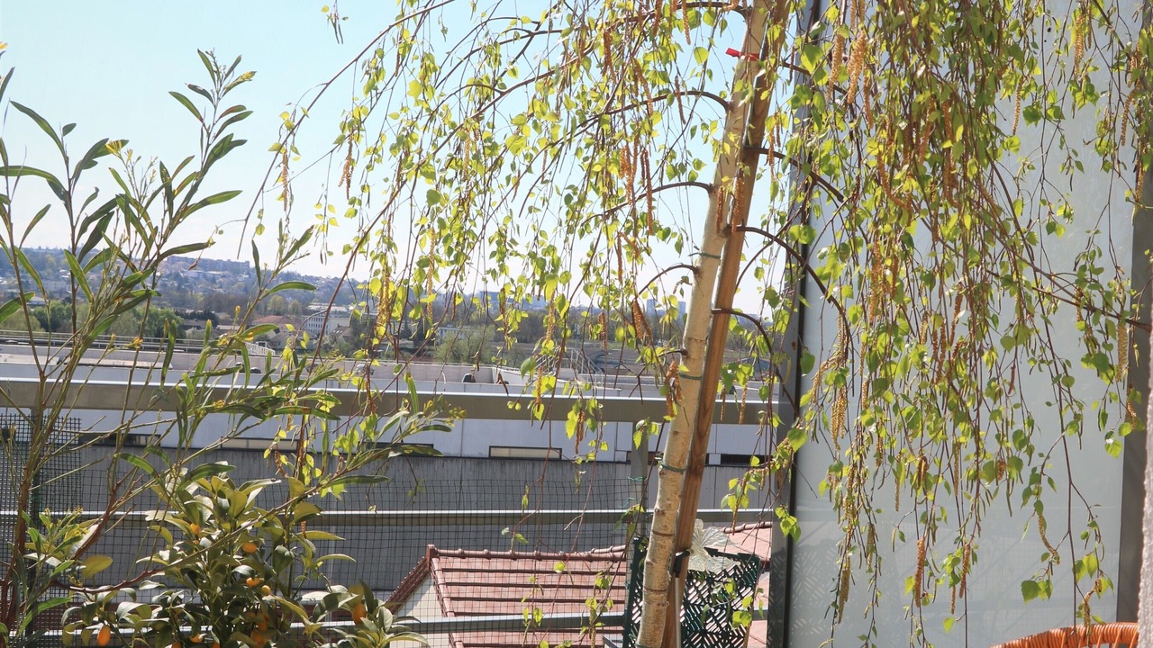 Photo of Outdoor in Neuilly-sur-Marne