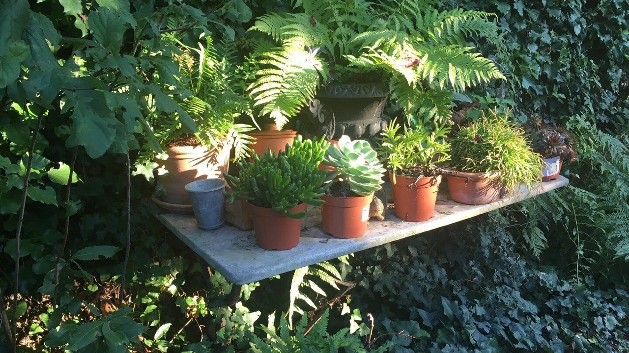Photo of Outdoor in Les Viselets