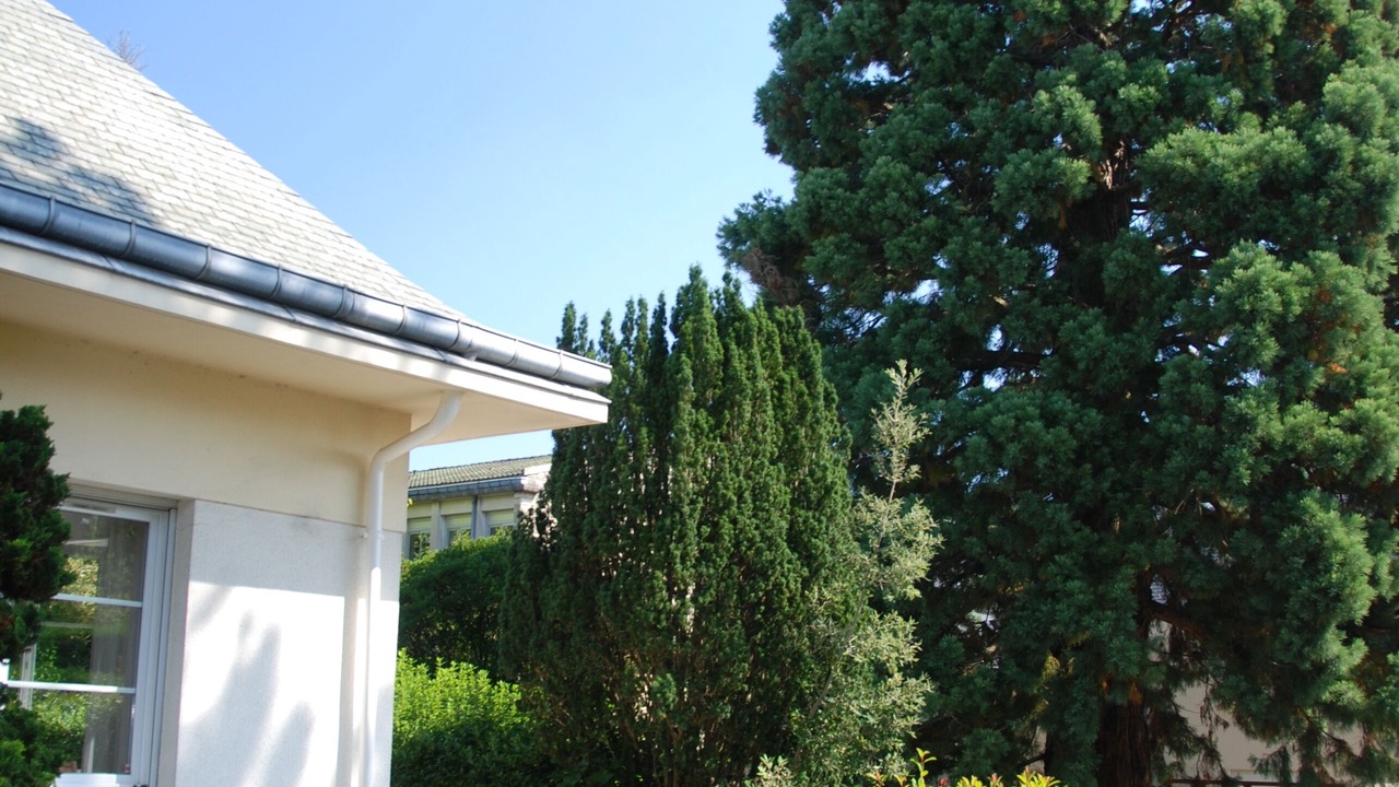 Photo of Outdoor in Chatenay-Malabry
