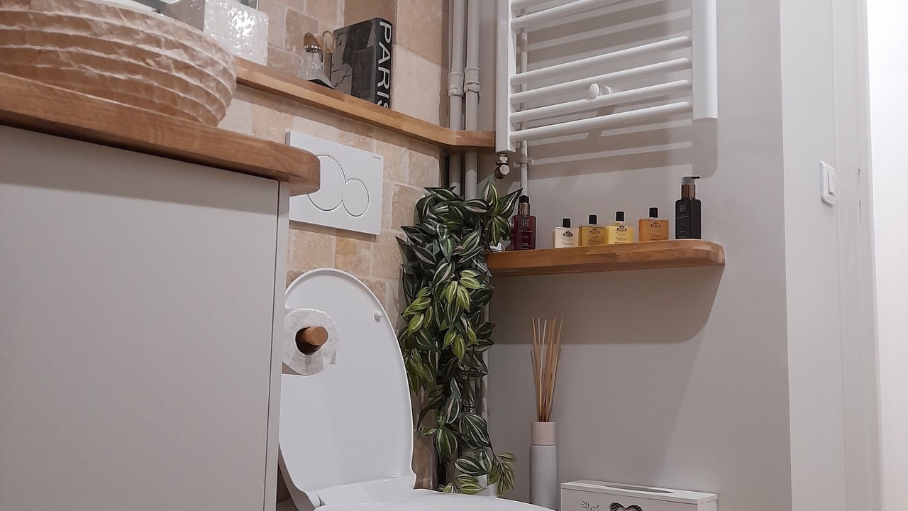 Photo of Bathroom in Chaillot
