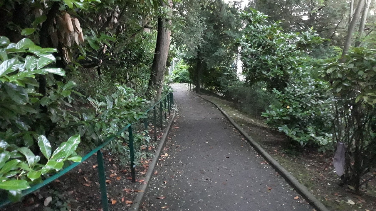 Photo of Outdoor in Sevres