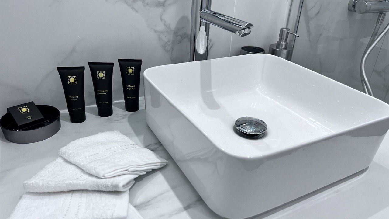 Photo of Bathroom in Prince–Marmottan