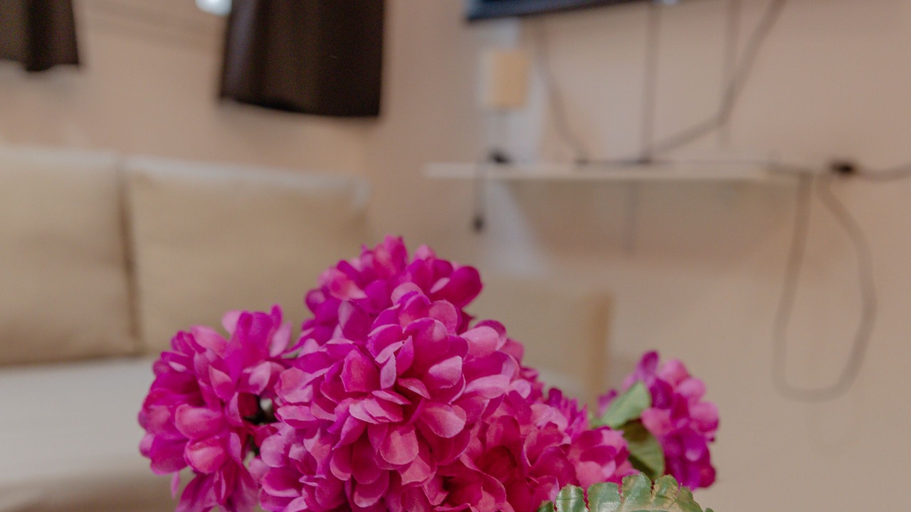 Photo of Livingroom in Vignerons