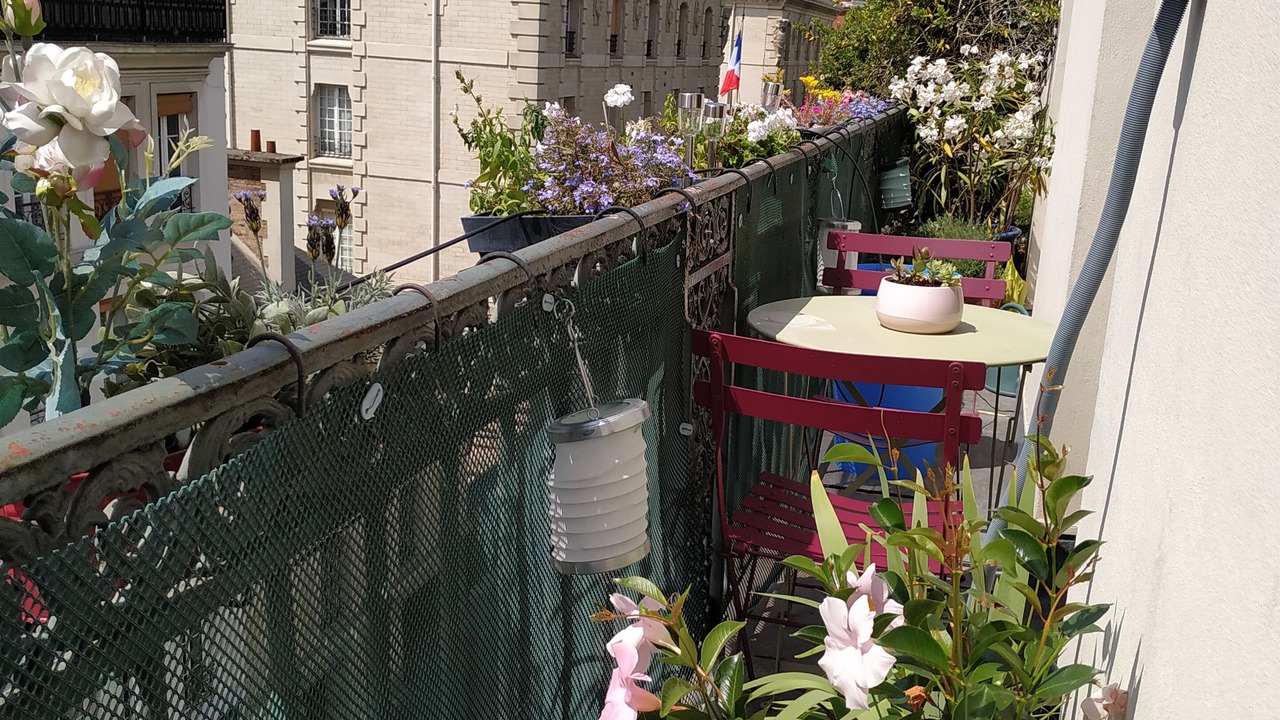 Photo of Outdoor in 5th Arrondissement