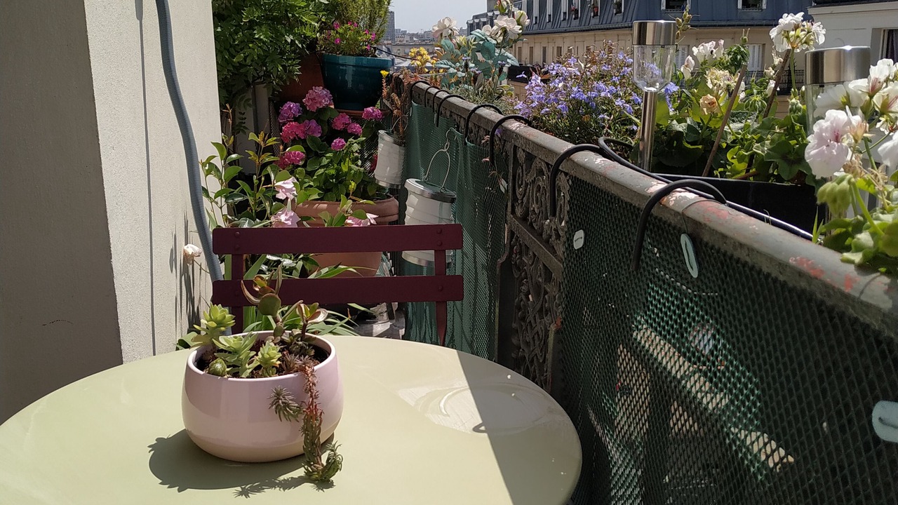 Photo of Outdoor in 5th Arrondissement