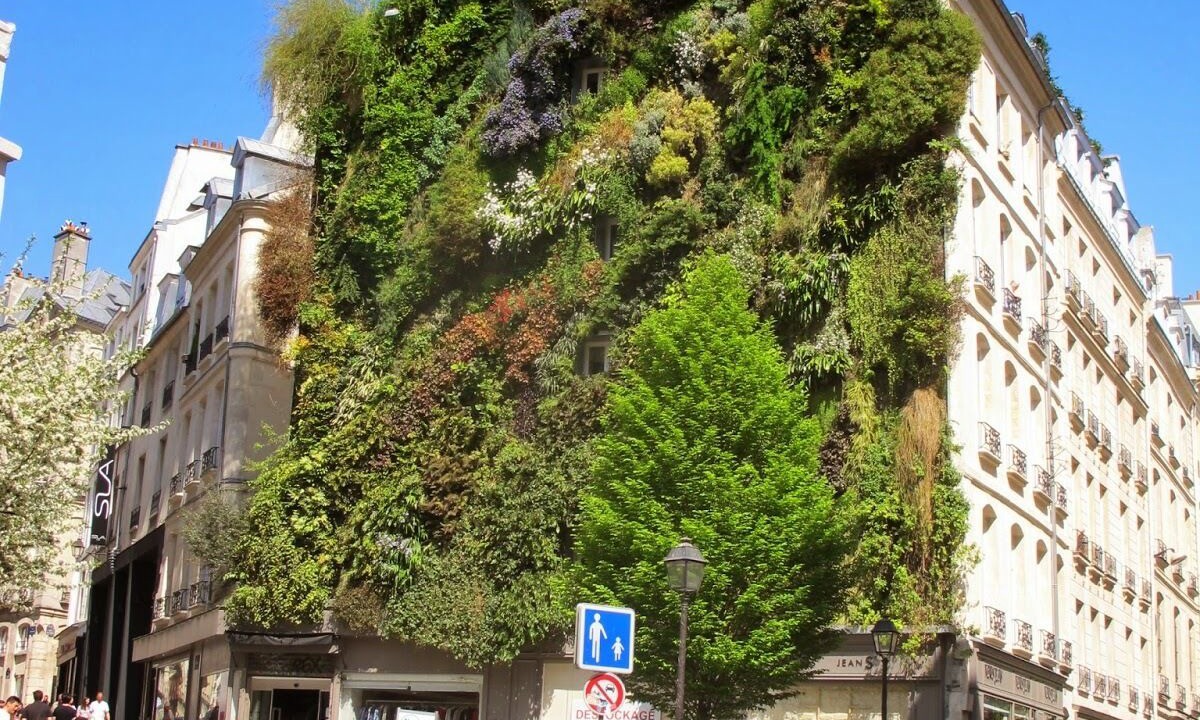 Photo of Others in Bonne-Nouvelle