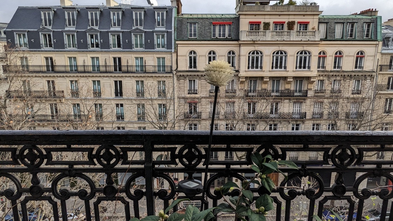 Photo of Outdoor in Madeleine
