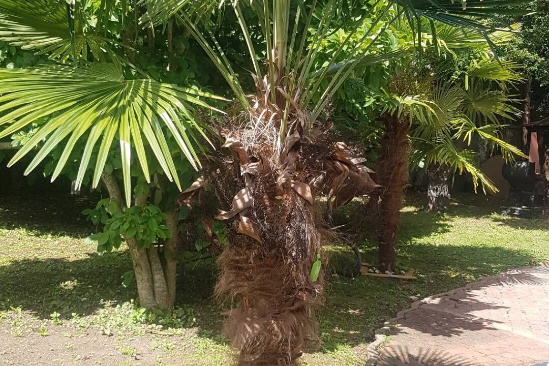 Photo of Outdoor in Esbly